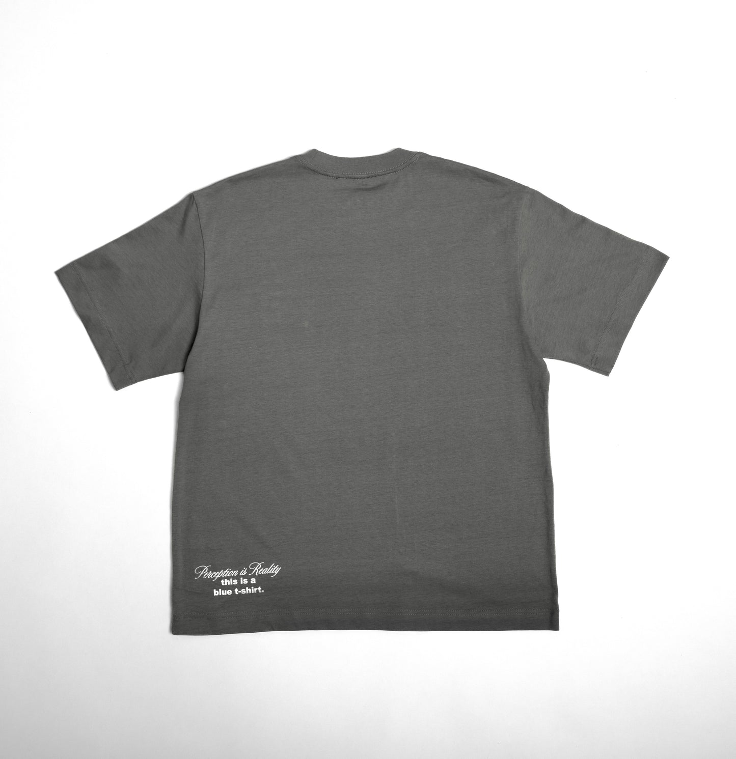 Perception Is Reality Tee (Gray)