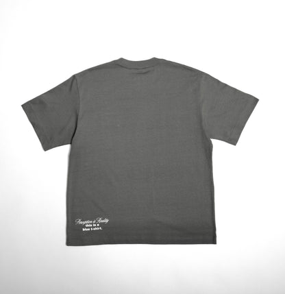 Perception Is Reality Tee (Gray)