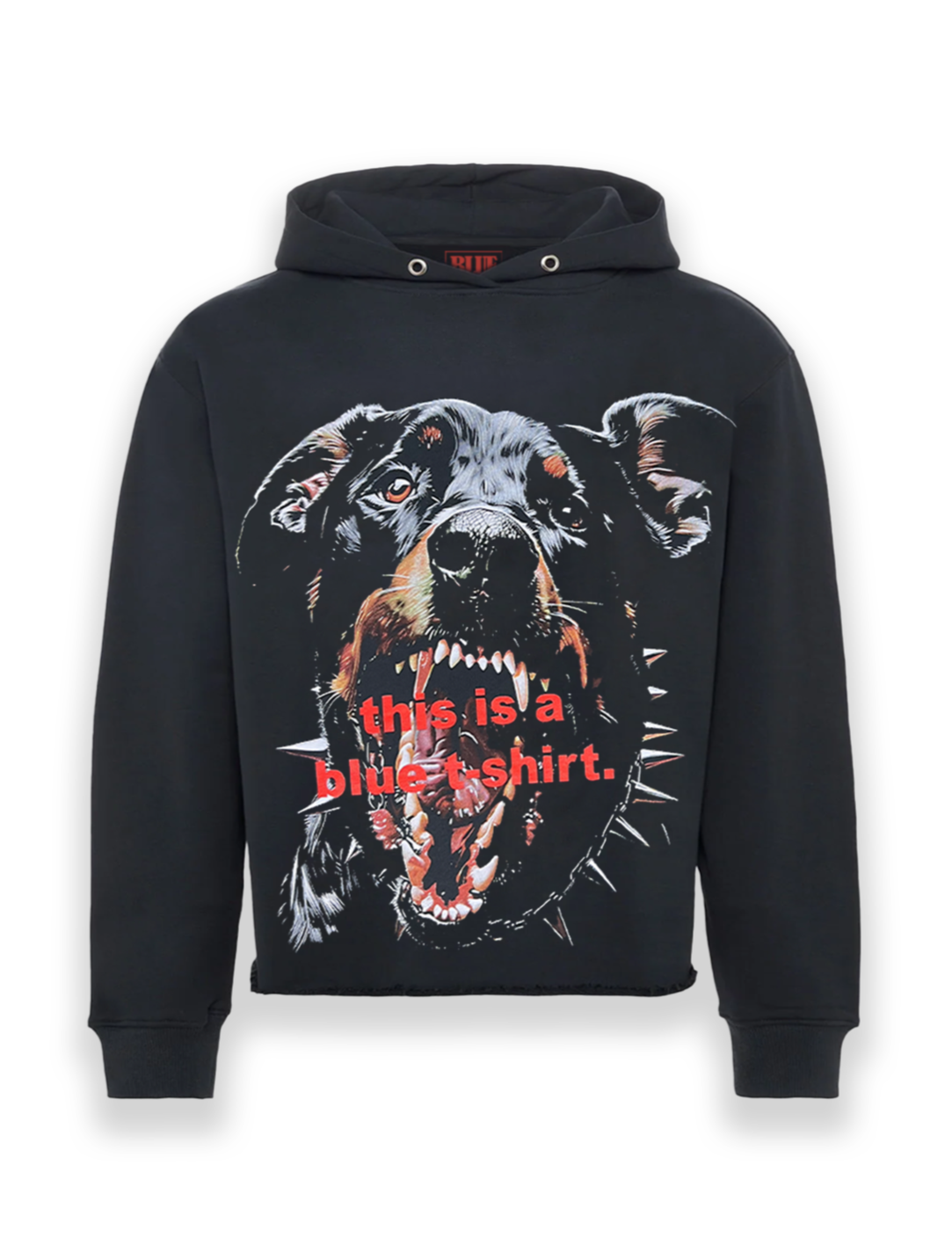 DOG PERCEPTION GRAPHIC HOODIE